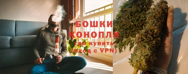 ПСИЛОЦИБИНОВЫЕ ГРИБЫ Арсеньев