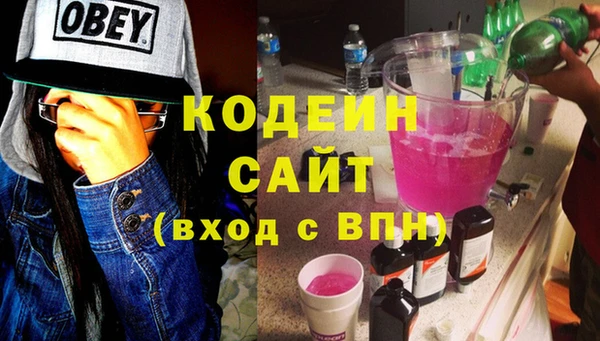 ПСИЛОЦИБИНОВЫЕ ГРИБЫ Арсеньев
