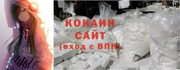 ПСИЛОЦИБИНОВЫЕ ГРИБЫ Арсеньев