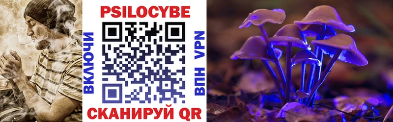 hydra ссылки  Суджа  Галлюциногенные грибы Psilocybine cubensis 